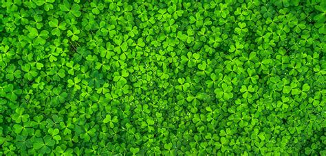 Odds Ratios and St. Patrick's Day: Are 4.